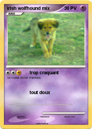 Pokemon irish wolfhound mix