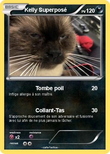 Pokemon Kelly Superposé