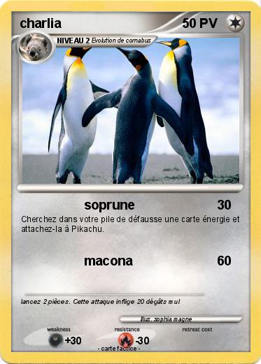 Pokemon charlia