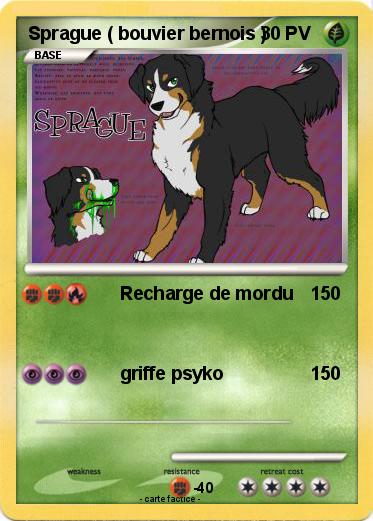 Pokemon Sprague ( bouvier bernois )