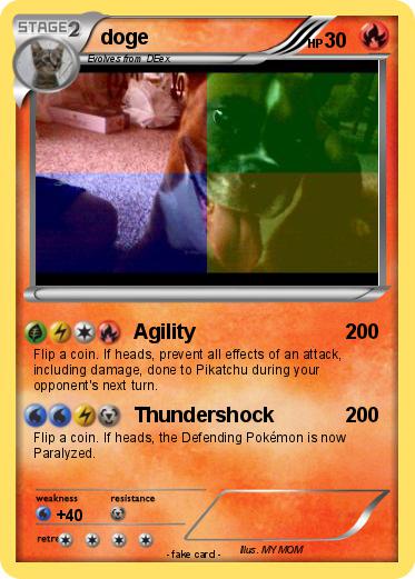 Pokemon doge