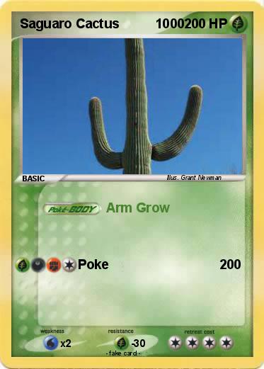 Pokemon Saguaro Cactus          1000
