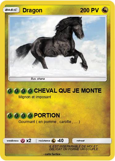 Pokemon Dragon