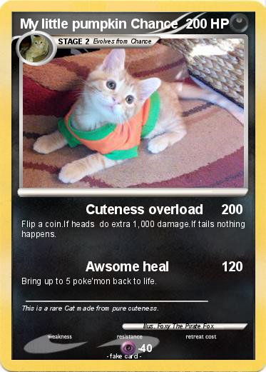 Pokemon My little pumpkin Chance