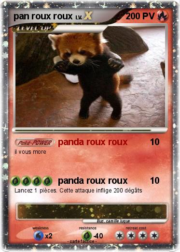 Pokemon pan roux roux