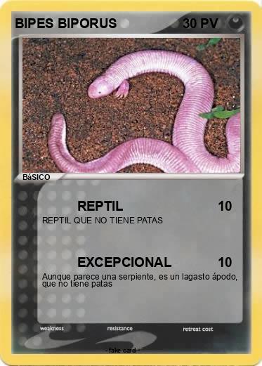 Pokemon BIPES BIPORUS