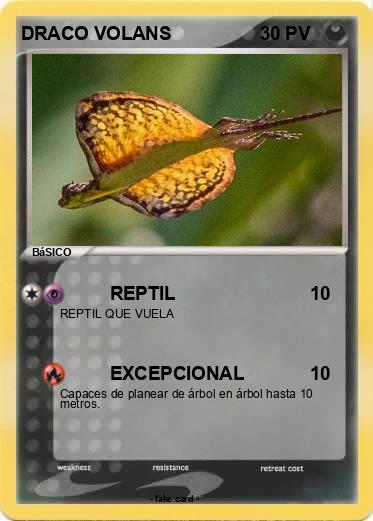 Pokemon DRACO VOLANS