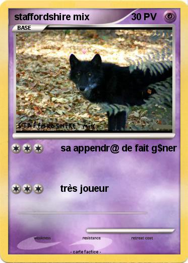 Pokemon staffordshire mix