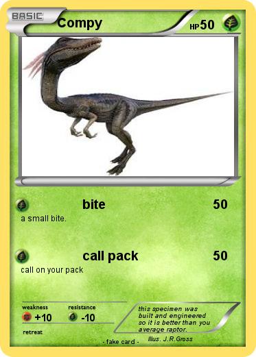 Pokemon Compy