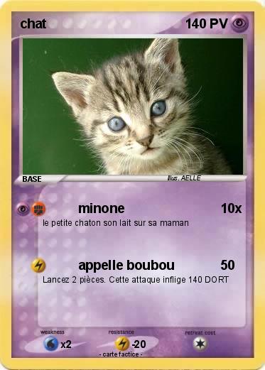 Pokemon chat