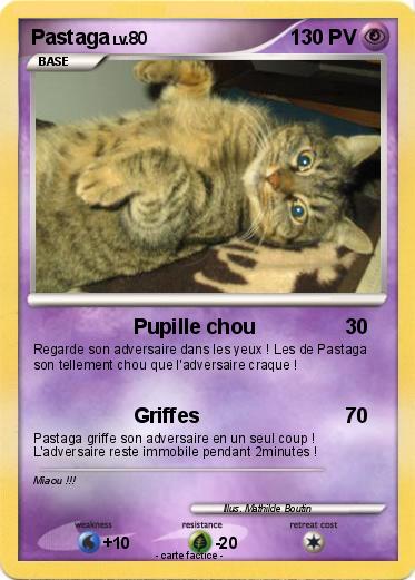 Pokemon Pastaga