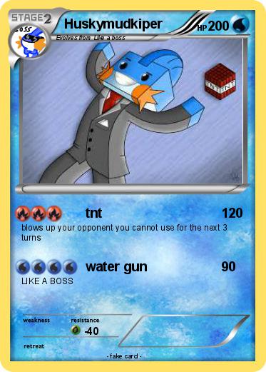 Pokemon Huskymudkiper