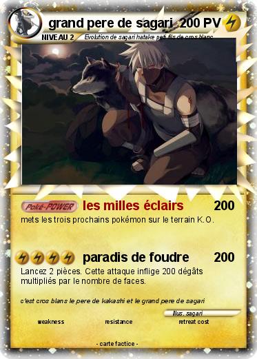 Pokemon grand pere de sagari