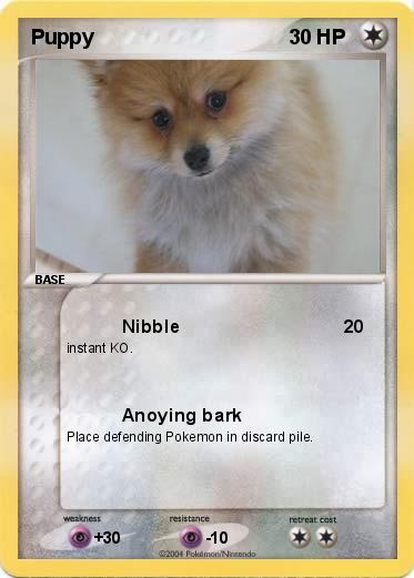 Pokemon Puppy