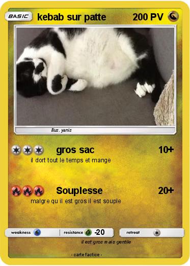 Pokemon kebab sur patte