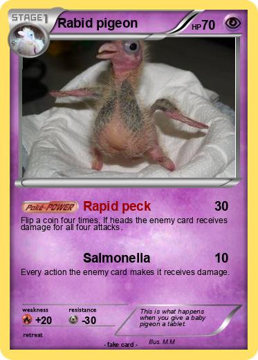 Pokemon Rabid pigeon