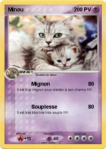 Pokemon Minou