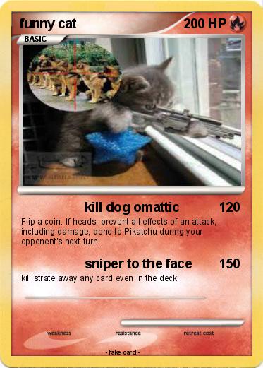 Pokemon funny cat