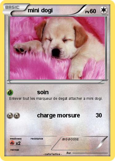 Pokemon mini dogi
