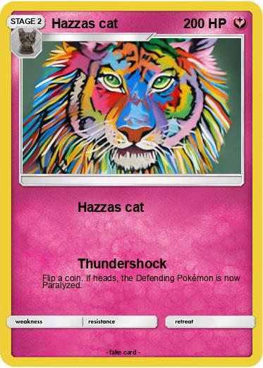 Pokemon Hazzas cat