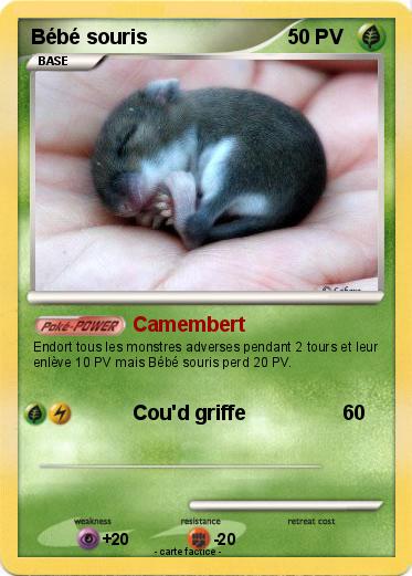 Pokemon Bébé souris