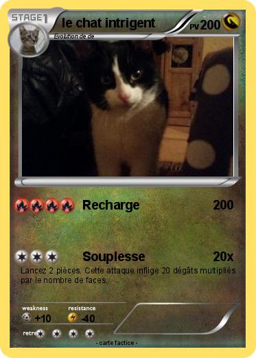 Pokemon le chat intrigent