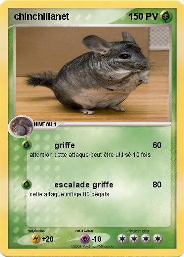 Pokemon chinchillanet