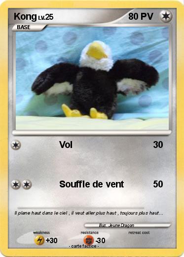 Pokemon Kong