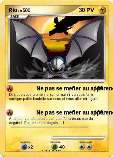 Pokemon Rio