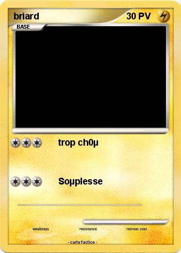 Pokemon briard