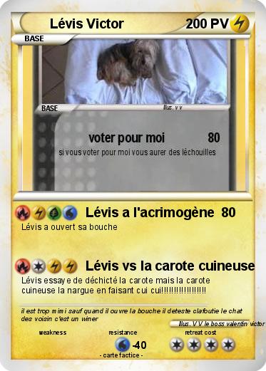 Pokemon Lévis Victor