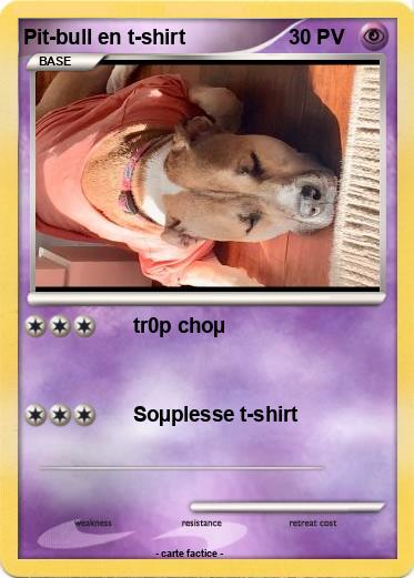 Pokemon Pit-bull en t-shirt