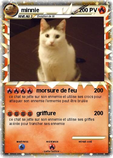 Pokemon minnie