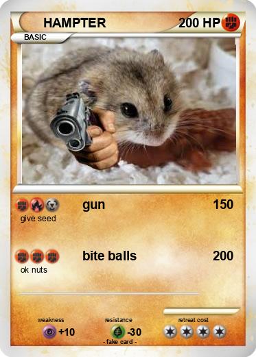 Pokemon HAMPTER