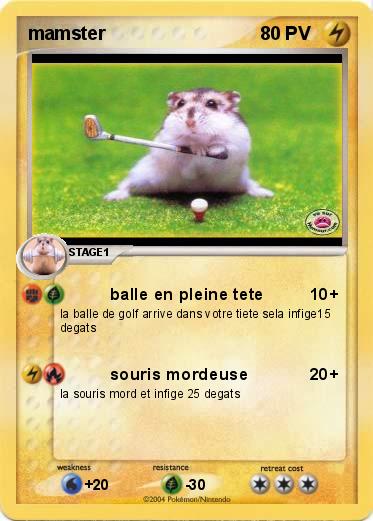 Pokemon mamster