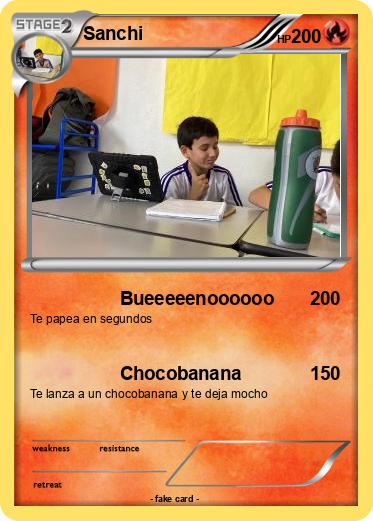 Pokemon Sanchi