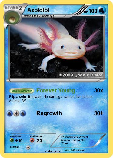 Pokemon Axolotol