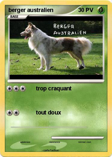 Pokemon berger australien