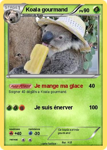 Pokemon Koala gourmand