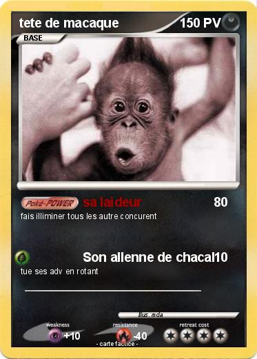 Pokemon tete de macaque