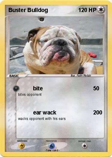 Pokemon Buster Bulldog