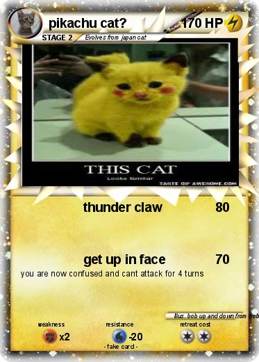 Pokemon pikachu cat?