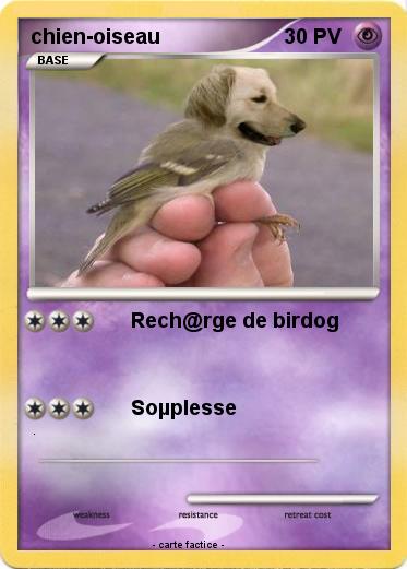 Pokemon chien-oiseau