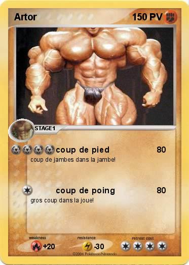 Pokemon Artor
