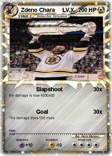 Pokemon Zdeno Chara     LV.X
