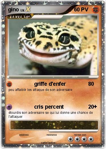 Pokemon gino