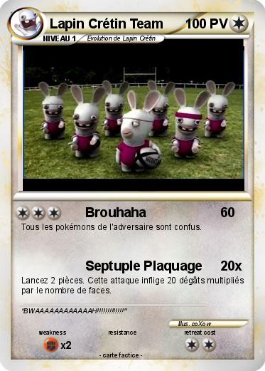 Pokemon Lapin Crétin Team