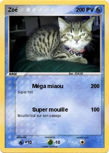 Pokemon Zoé