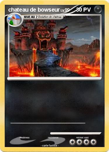 Pokemon chateau de bowseur