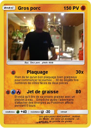Pokemon Gros porc